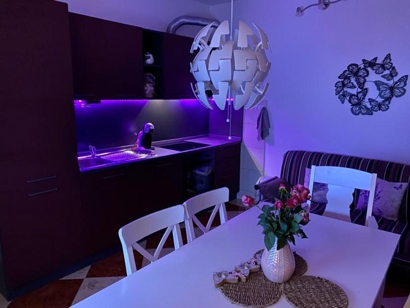 Apartman Silvija تْسْغيكفانِتْسا المظهر الخارجي الصورة